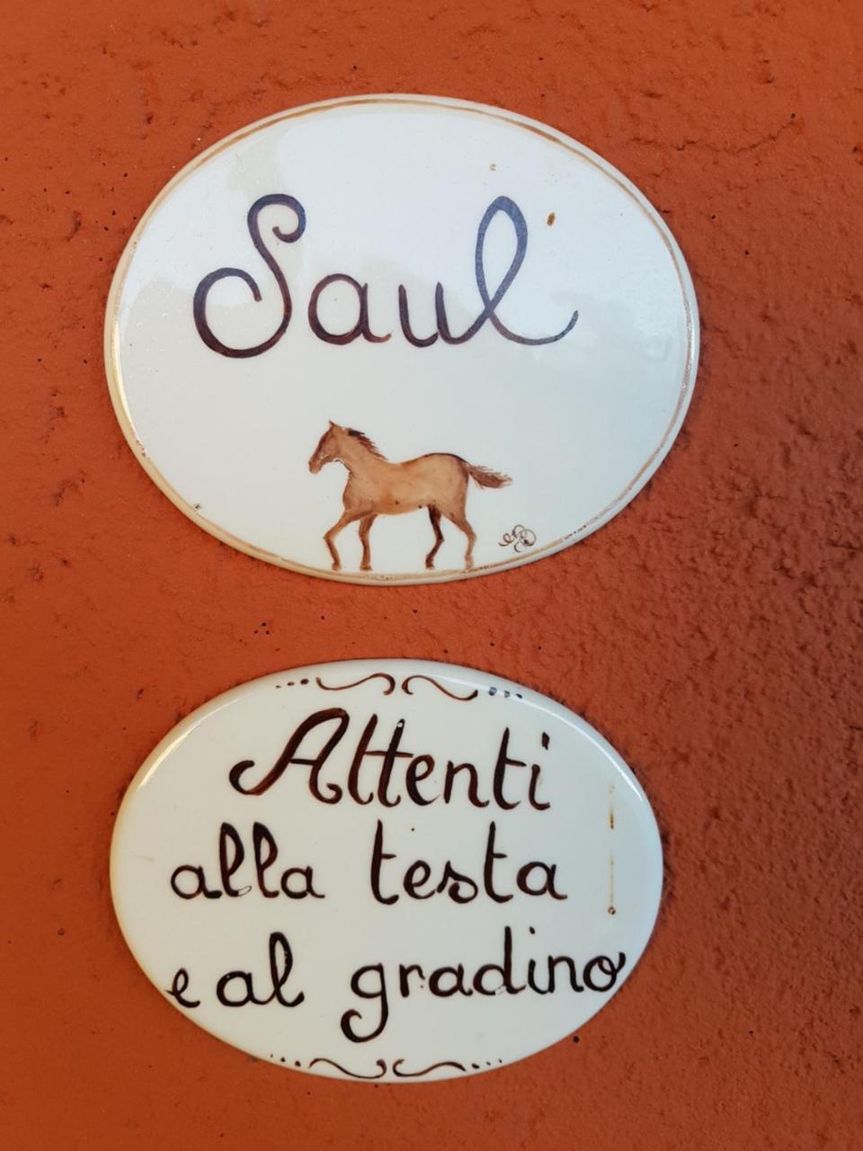 Borgo Ticino B&B La Cascina Di Monia E Mario المظهر الخارجي الصورة